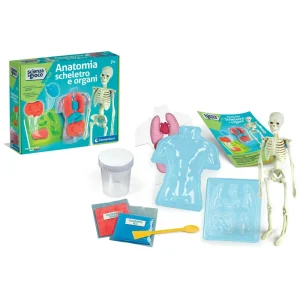 Scienza & Gioco – Anatomia Scheletro e Organi -19414