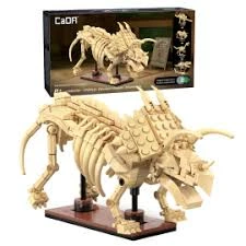 CaDA – Fossile di Triceratopo: Un Viaggio nel Tempo